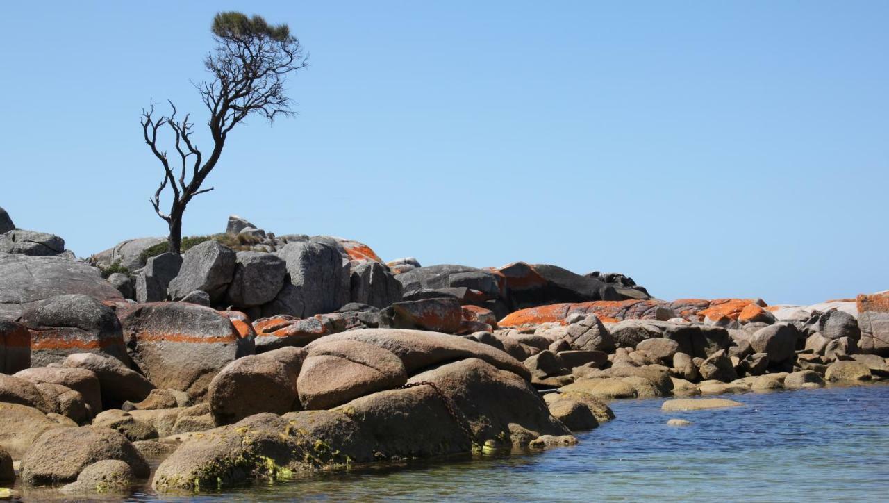 Bay Of Fires Seachange Ocean Frontage Binalong Bay Bagian luar foto