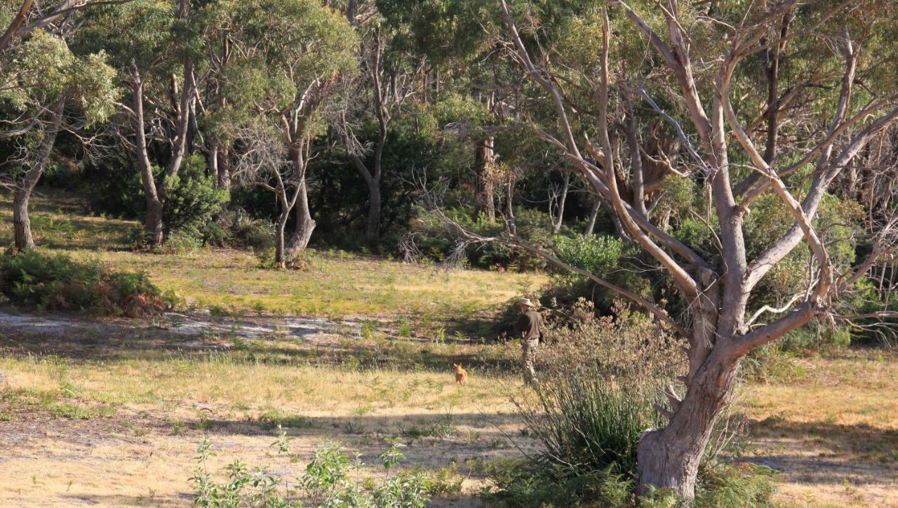 Bay Of Fires Seachange Ocean Frontage Binalong Bay Bagian luar foto